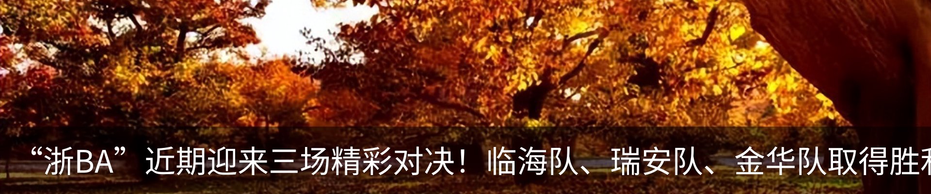 内页banner