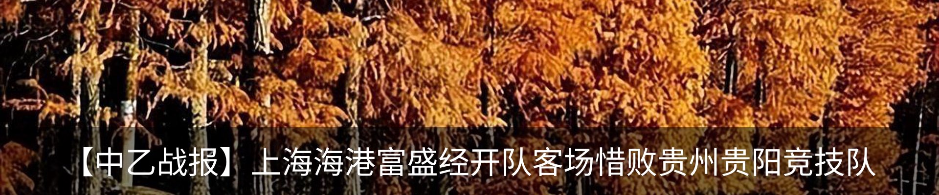 内页banner