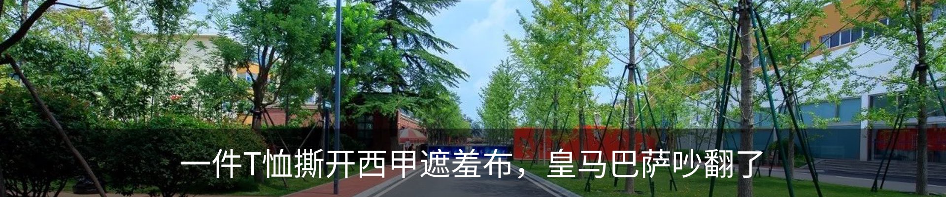 内页banner
