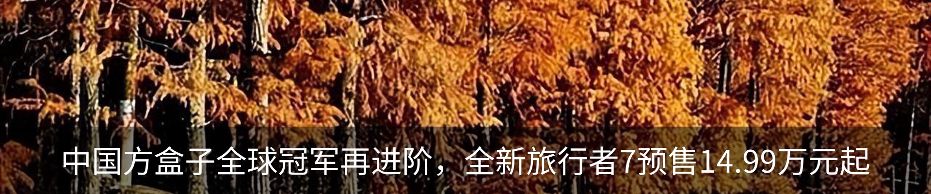 内页banner