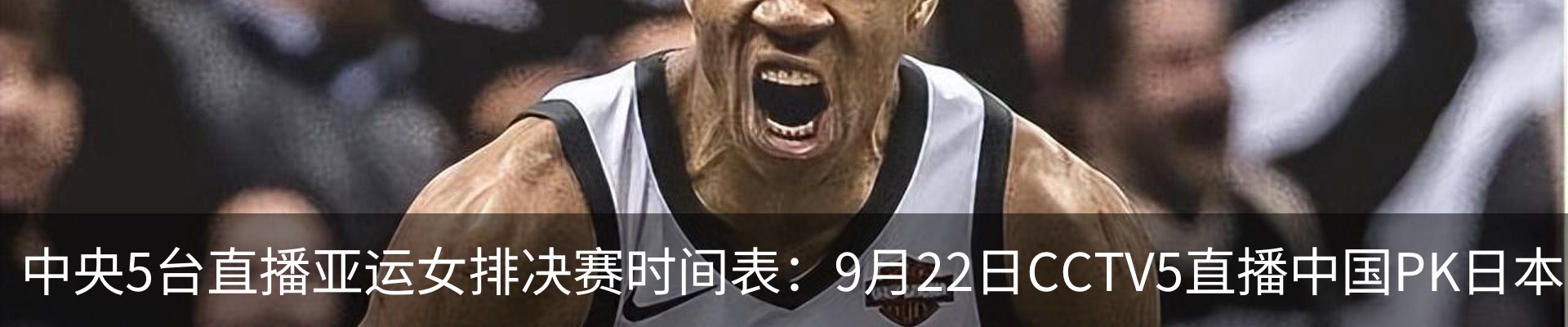 内页banner