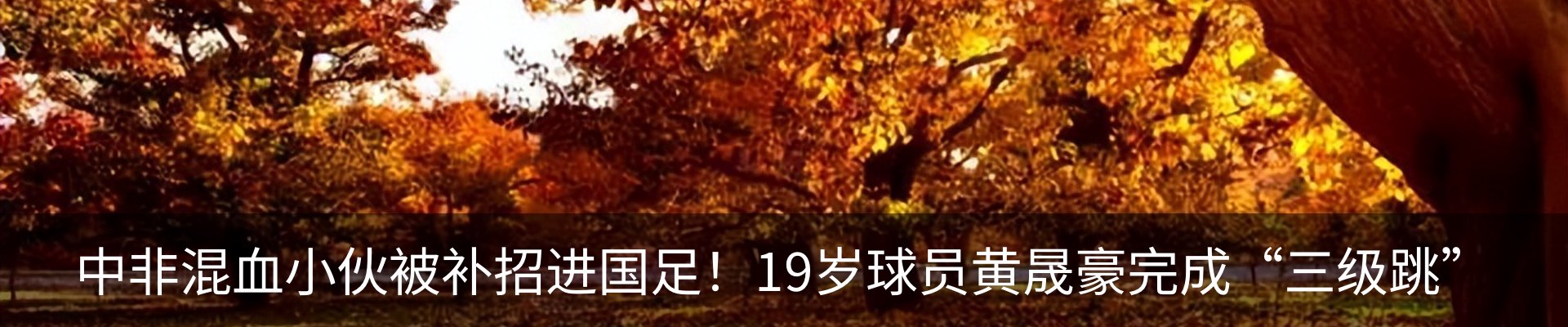 内页banner