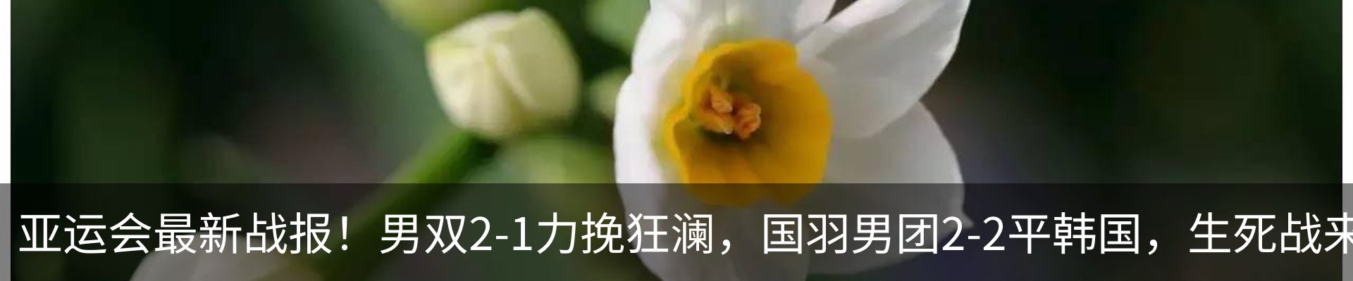 内页banner