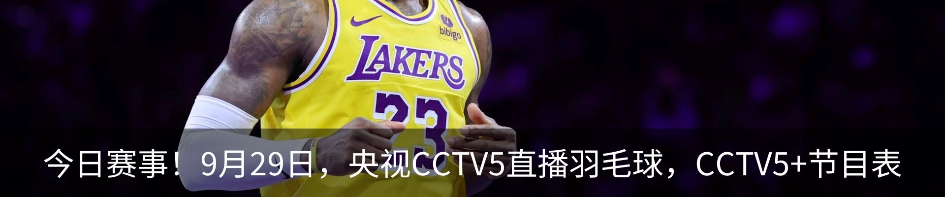 内页banner
