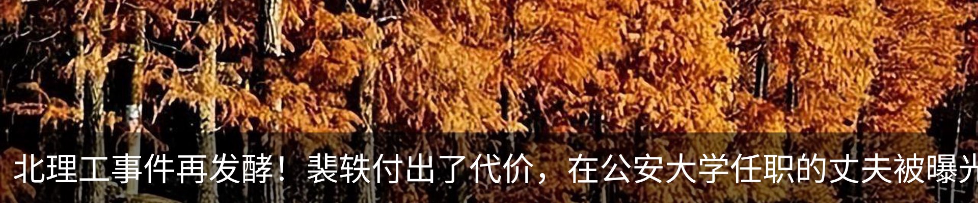 内页banner
