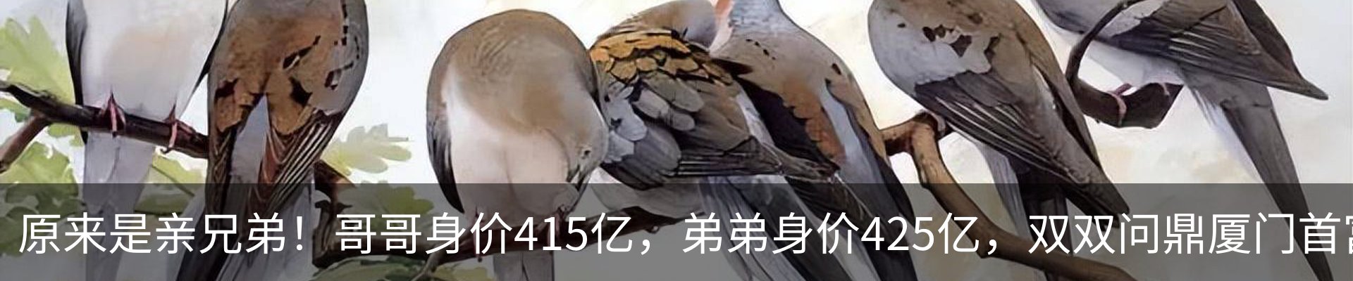 内页banner