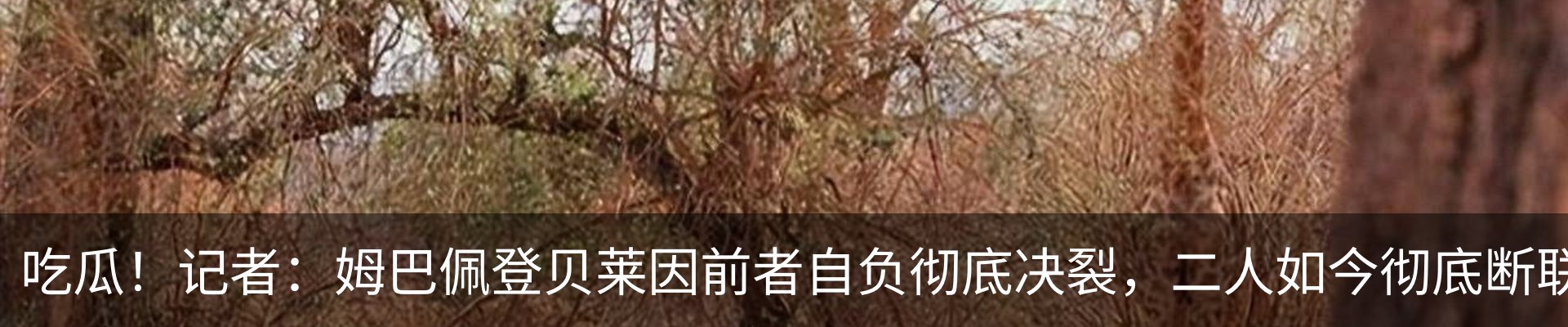 内页banner