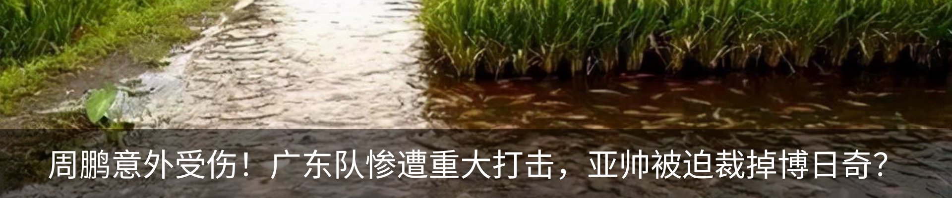 内页banner