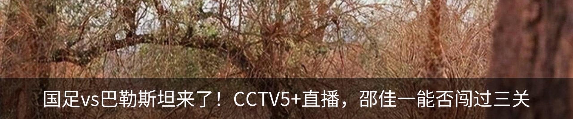 内页banner