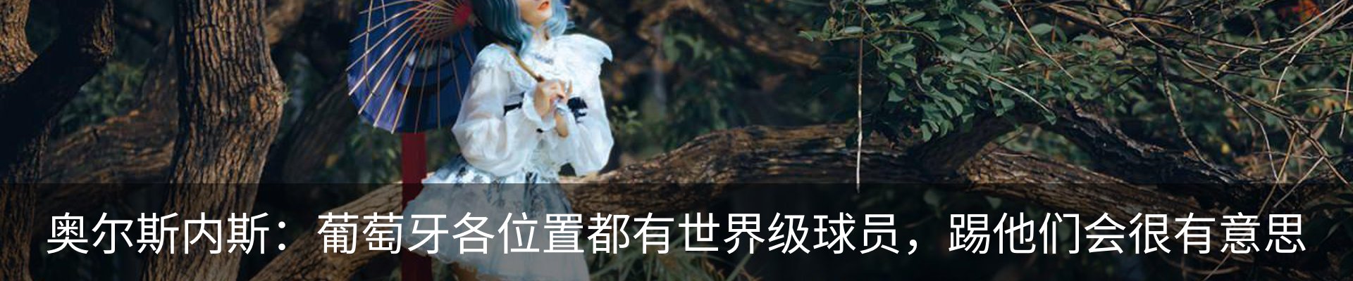 内页banner