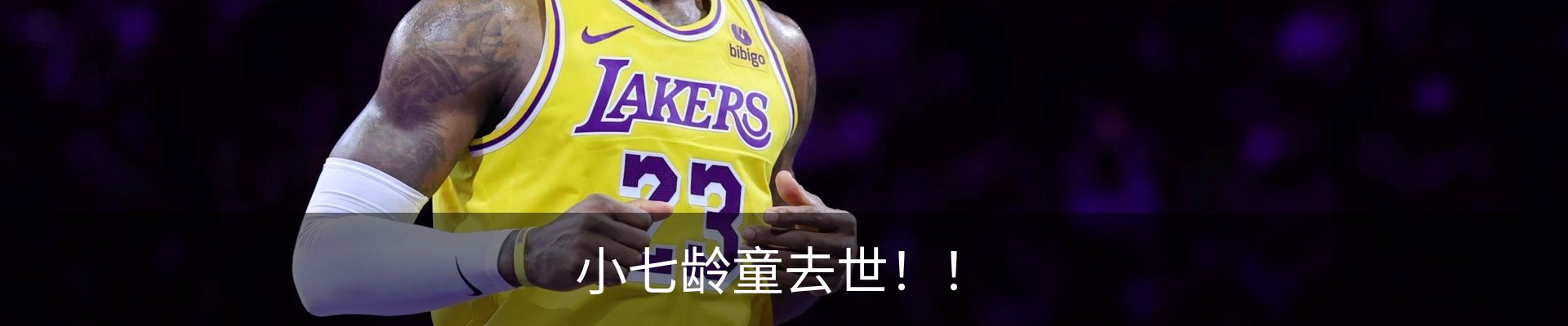 内页banner