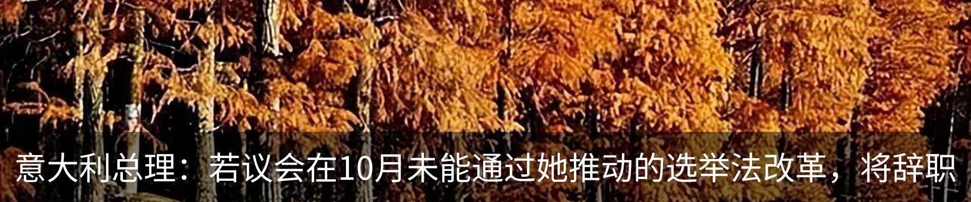 内页banner