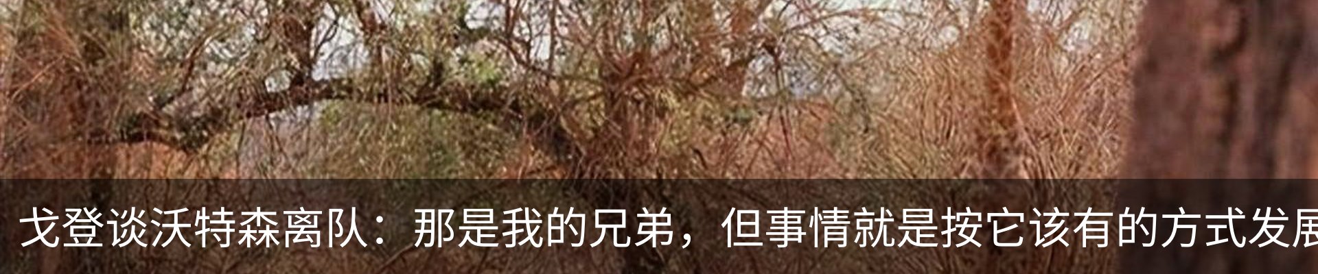 内页banner