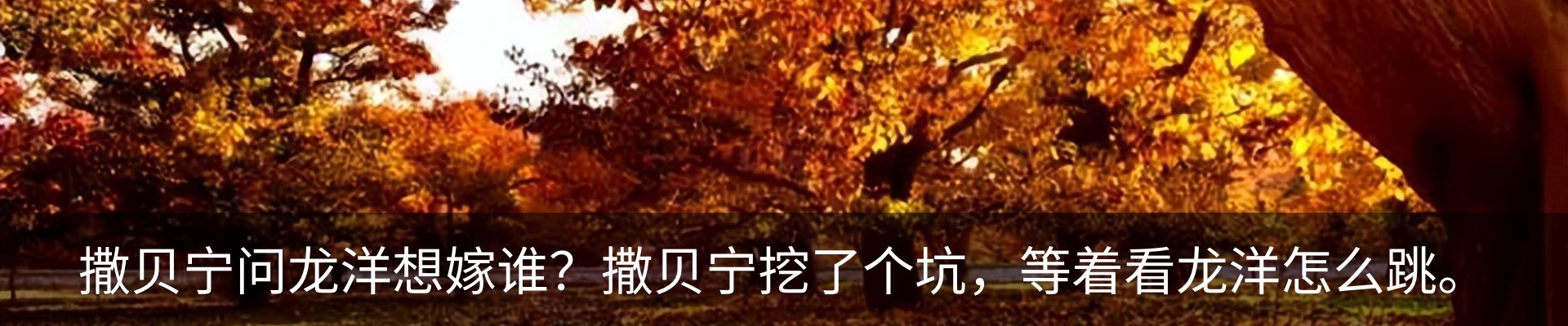 内页banner