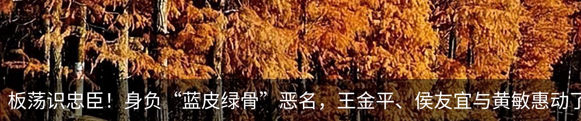 内页banner