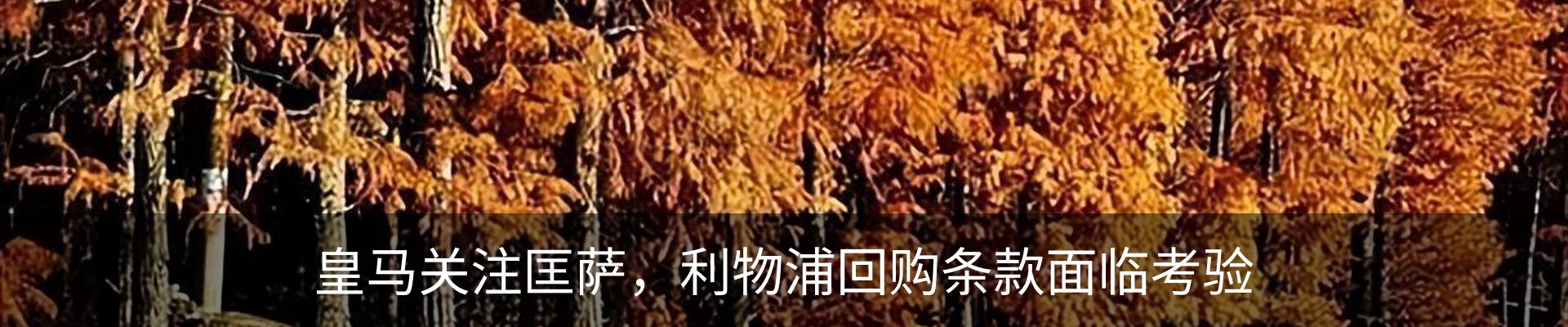 内页banner