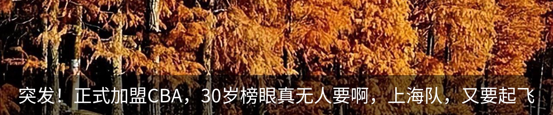 内页banner