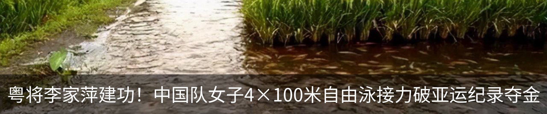 内页banner