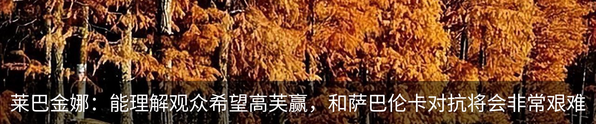 内页banner