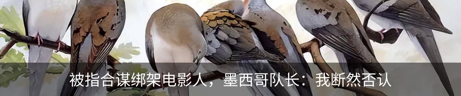 内页banner