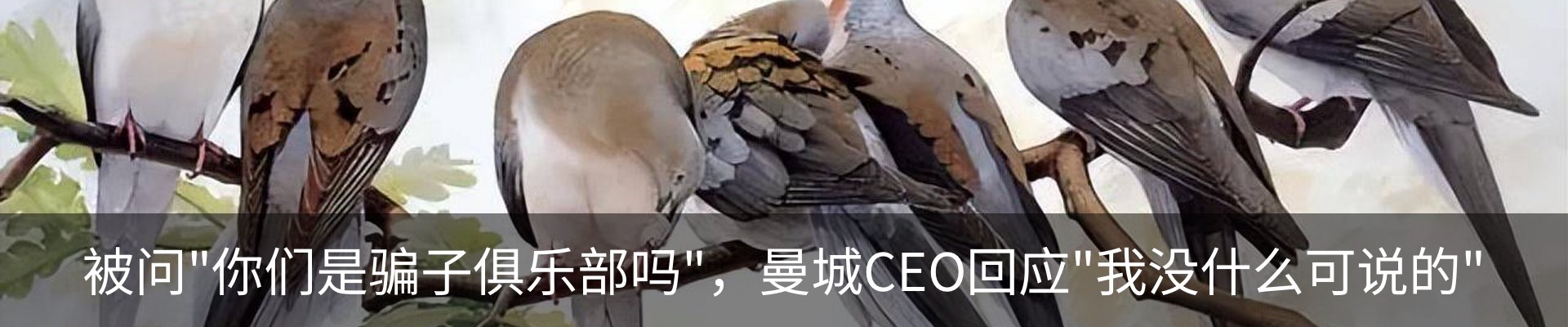 内页banner