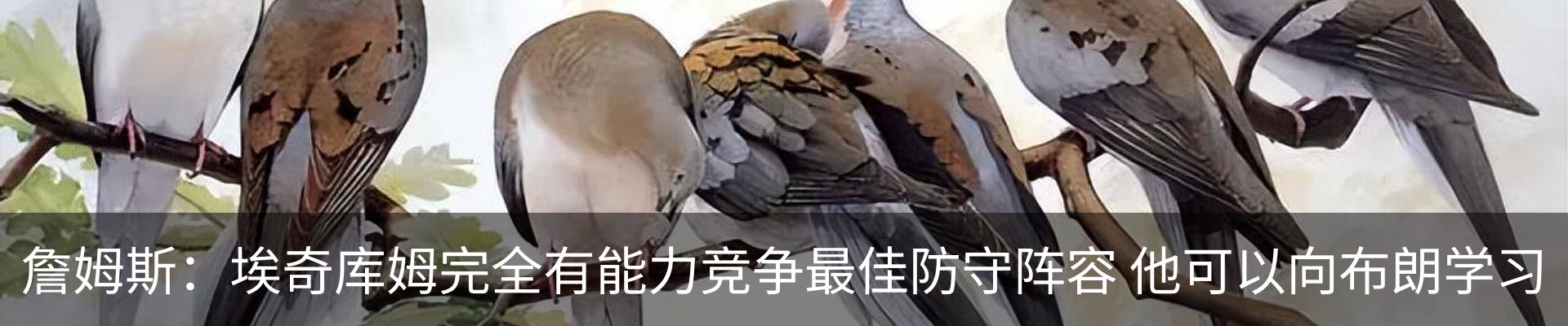 内页banner