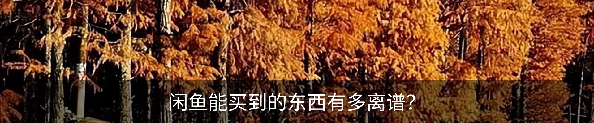 内页banner
