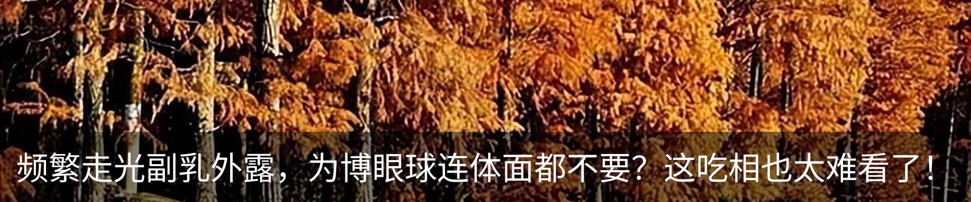 内页banner