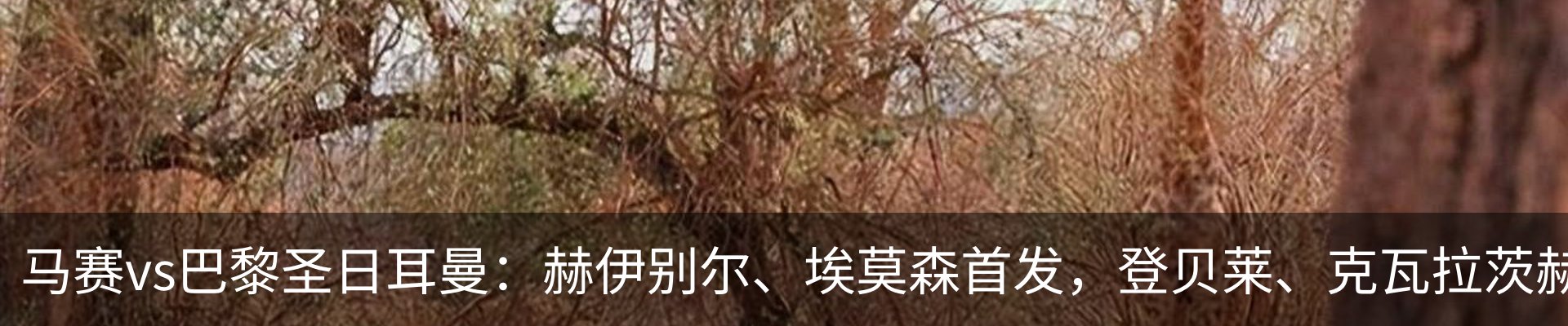 内页banner