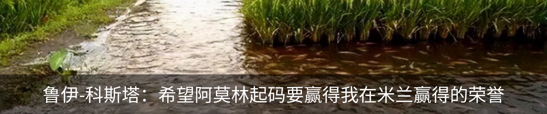 内页banner