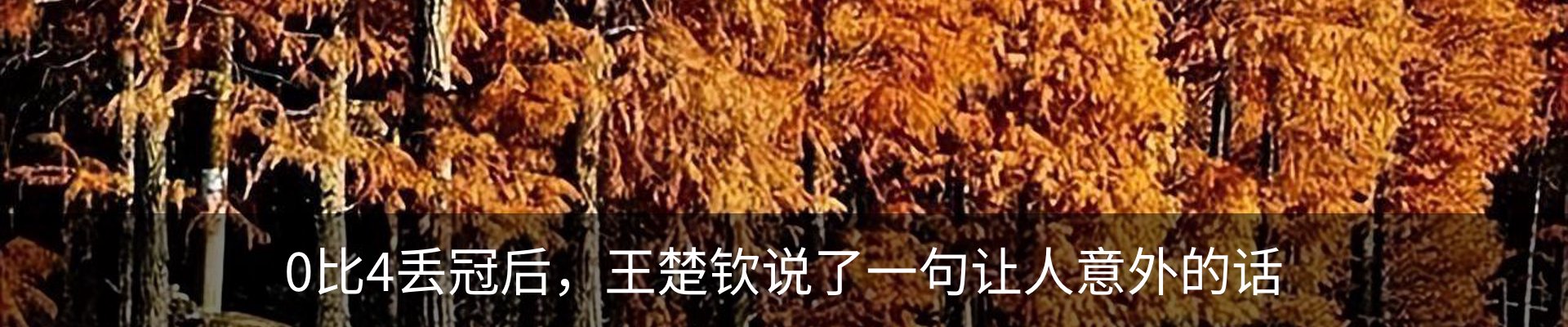 内页banner