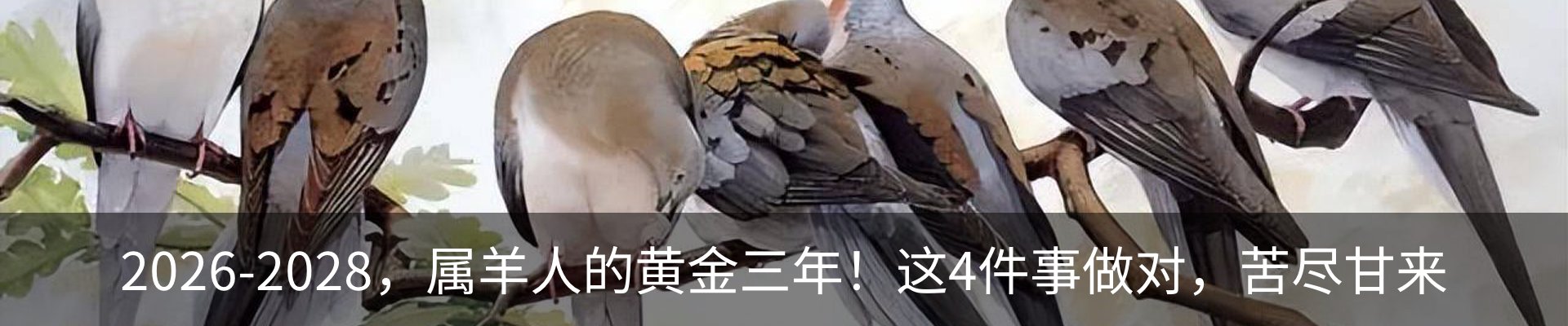 内页banner