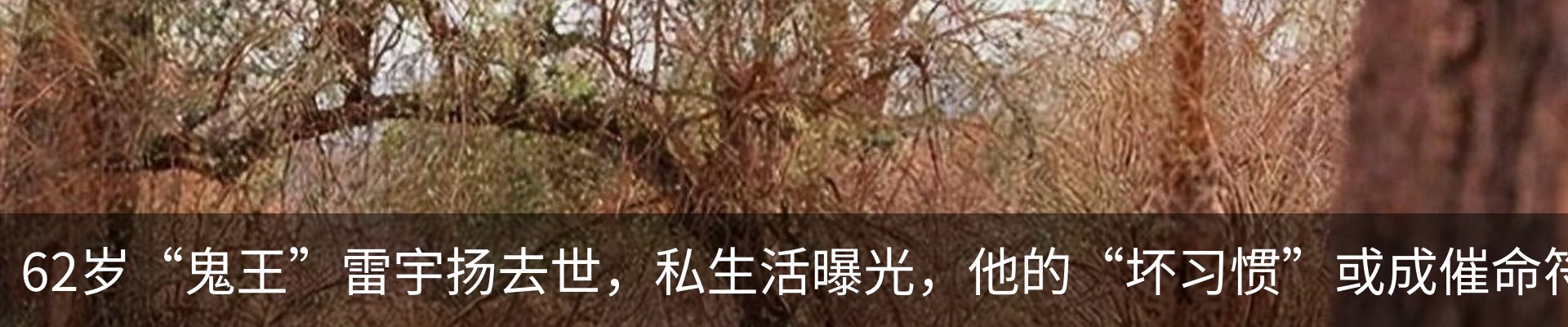 内页banner
