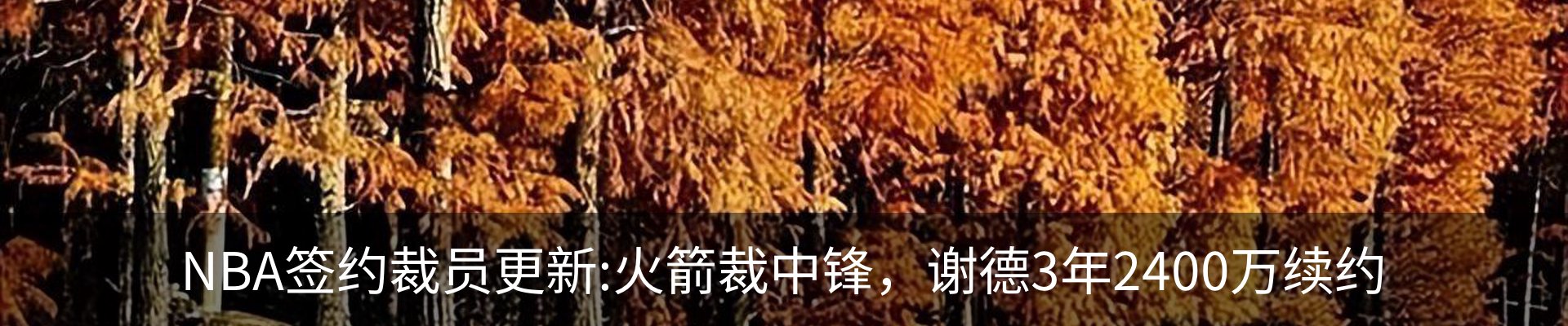 内页banner